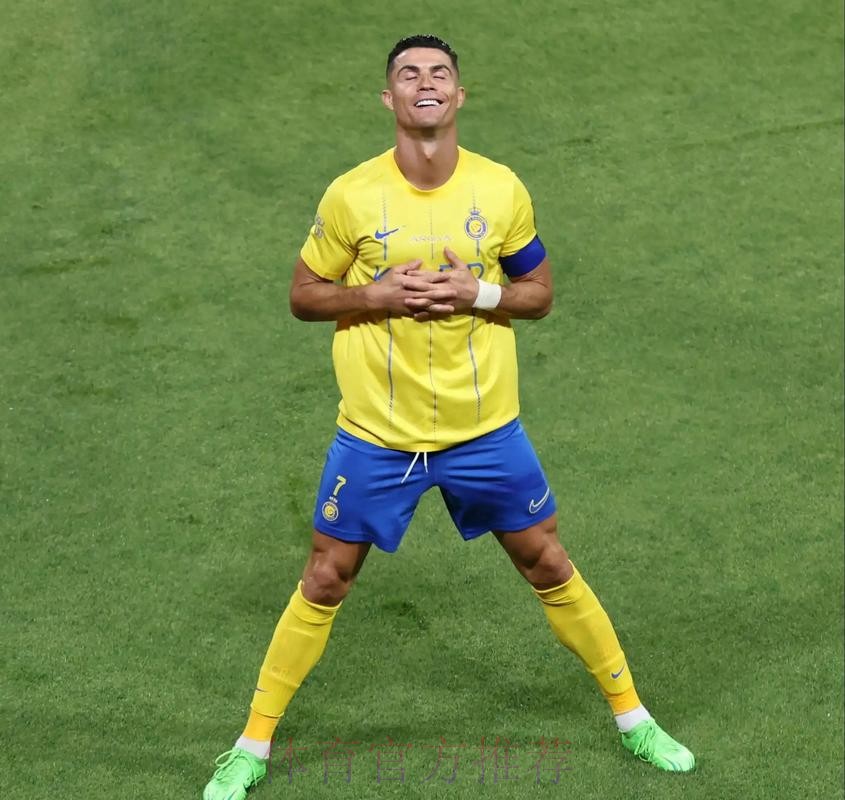 世界杯荷兰C罗焦点对决权威解读 世界杯荷兰C罗焦点对决权威解读